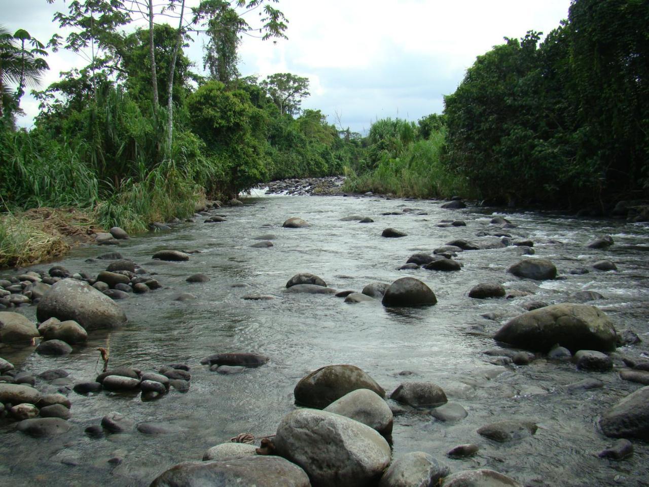 Horquetas River Lodge Sarapiqui Ngoại thất bức ảnh