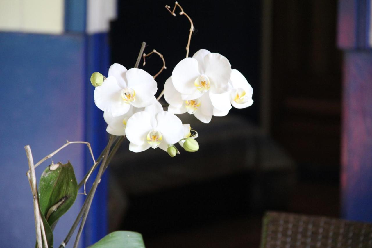 Horquetas River Lodge Sarapiqui Ngoại thất bức ảnh