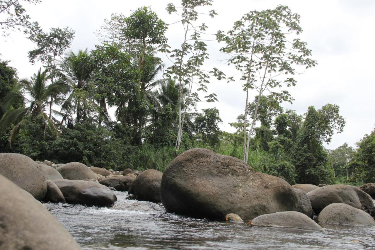 Horquetas River Lodge Sarapiqui Ngoại thất bức ảnh