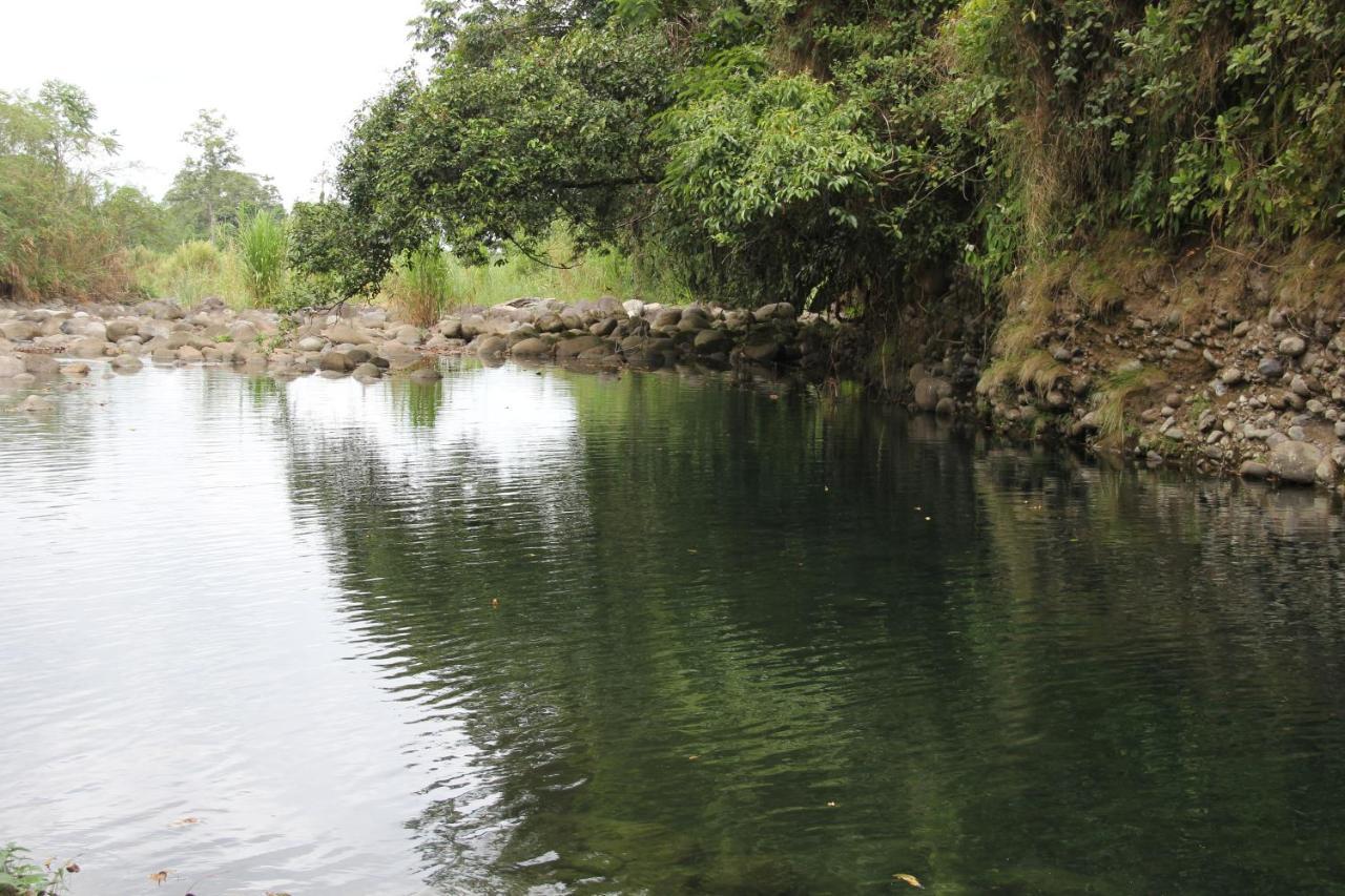 Horquetas River Lodge Sarapiqui Ngoại thất bức ảnh