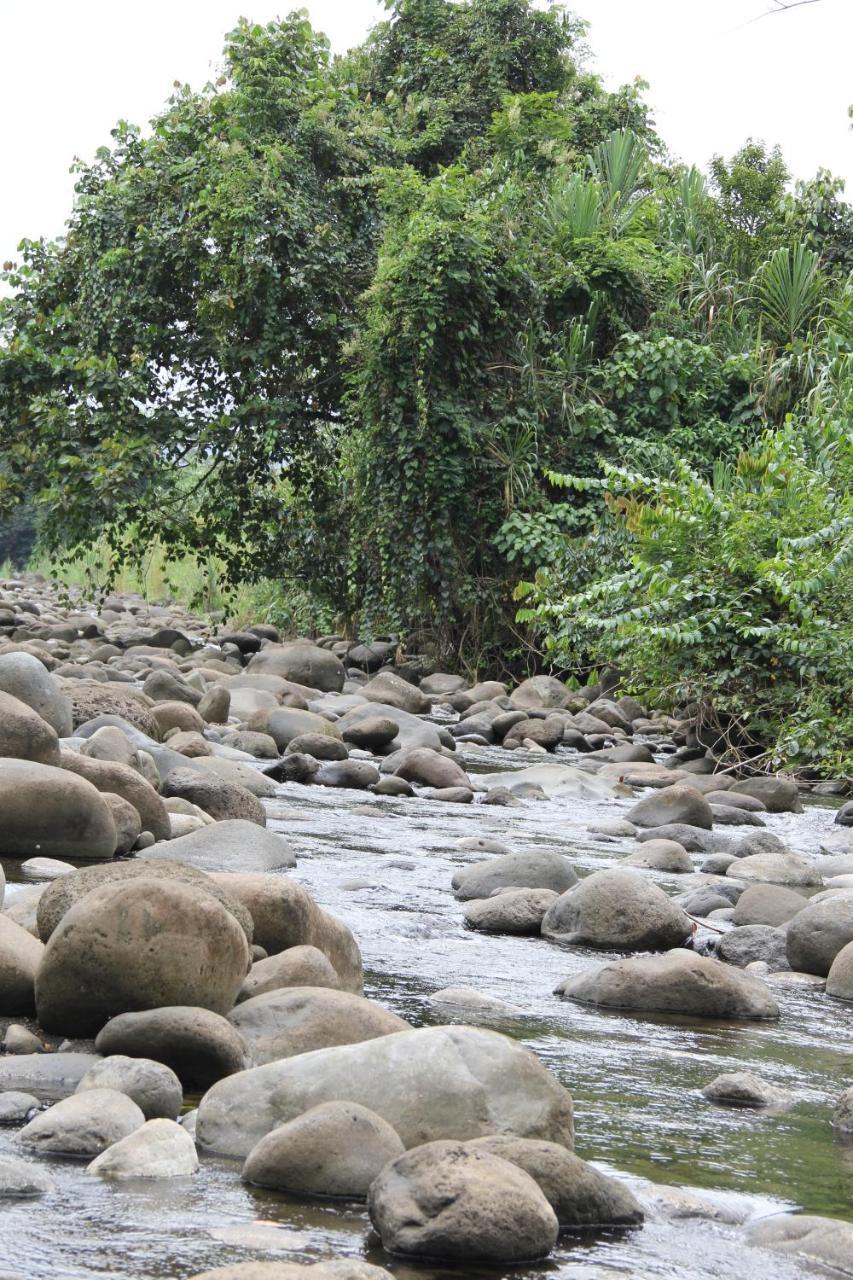 Horquetas River Lodge Sarapiqui Ngoại thất bức ảnh