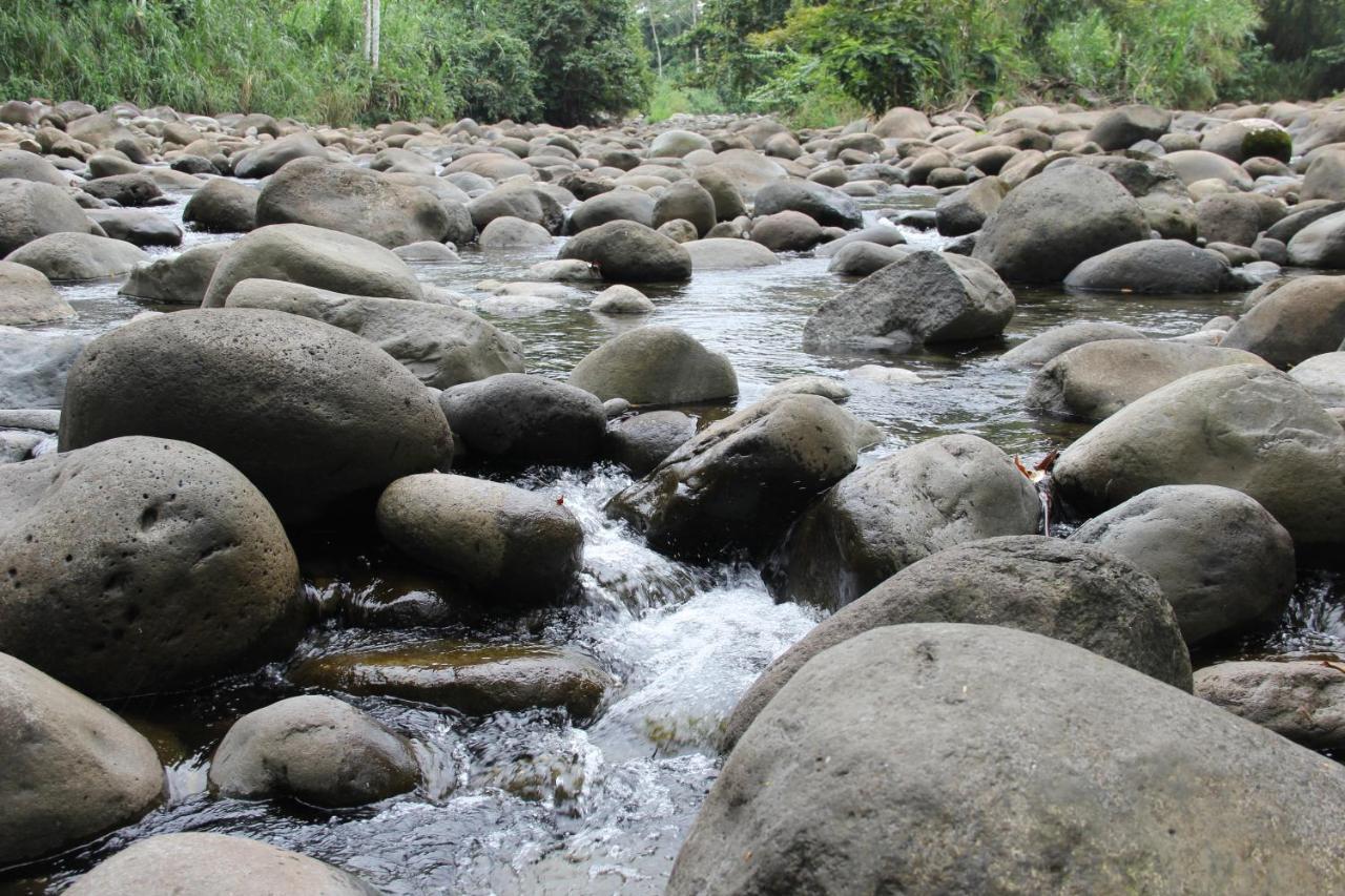 Horquetas River Lodge Sarapiqui Ngoại thất bức ảnh