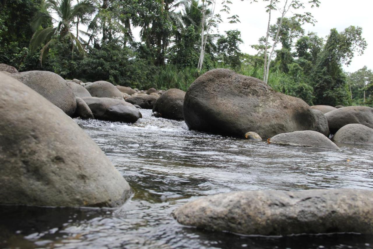 Horquetas River Lodge Sarapiqui Ngoại thất bức ảnh