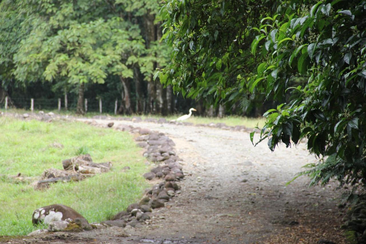 Horquetas River Lodge Sarapiqui Ngoại thất bức ảnh
