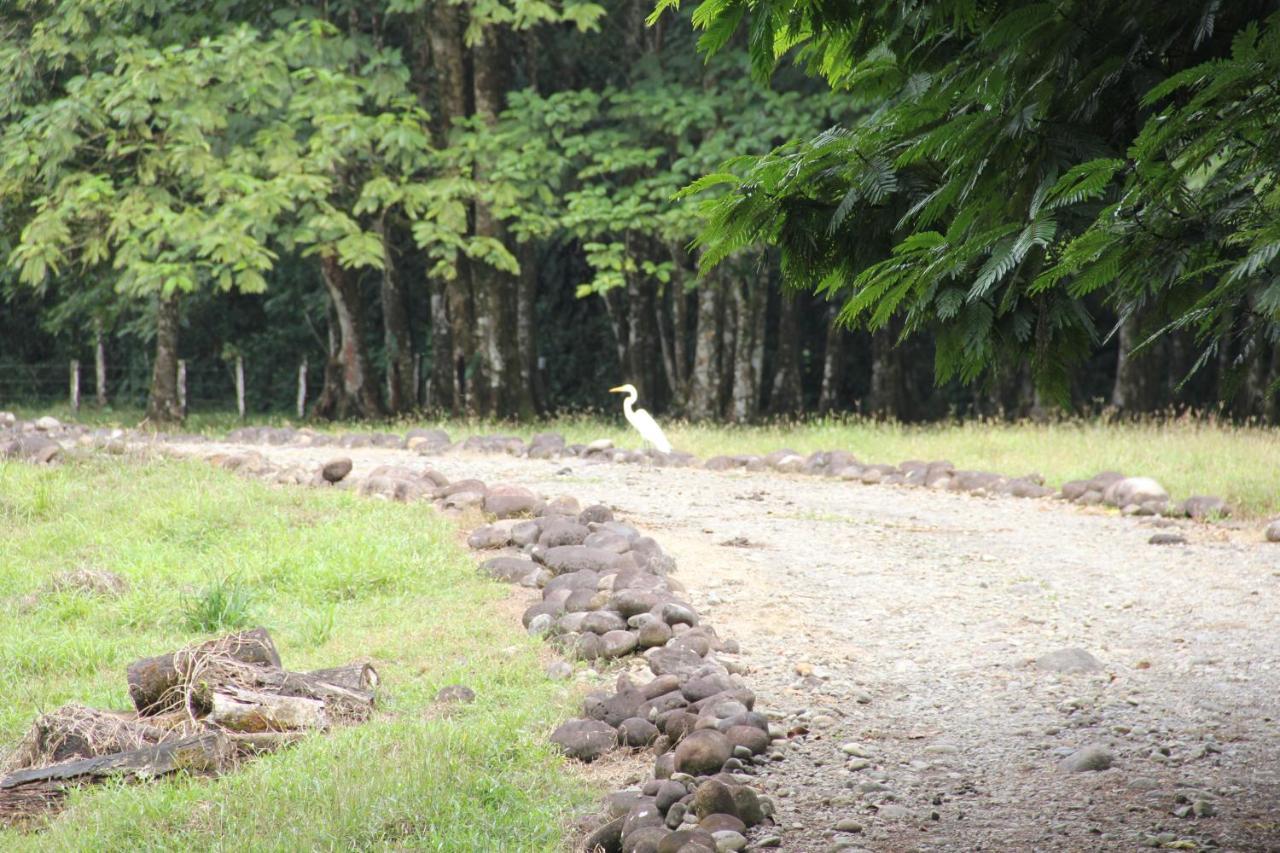 Horquetas River Lodge Sarapiqui Ngoại thất bức ảnh