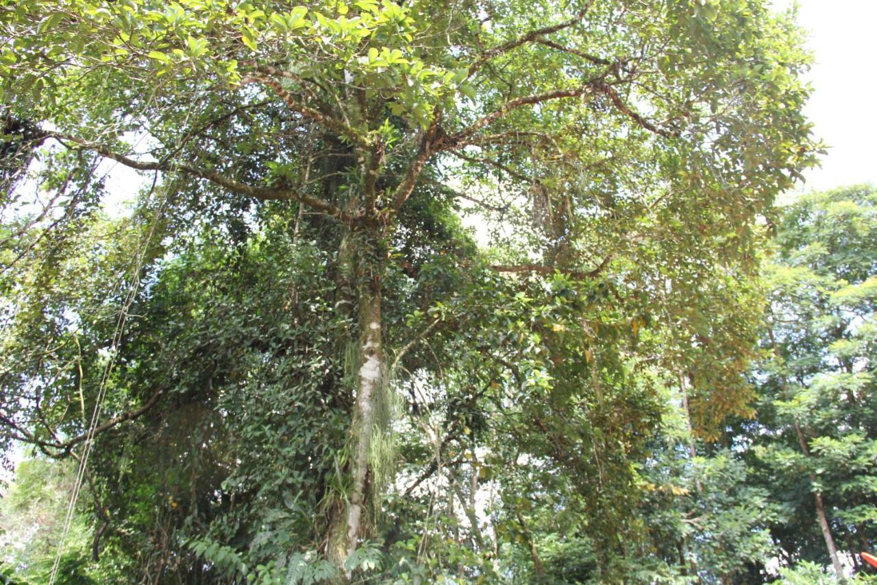 Horquetas River Lodge Sarapiqui Ngoại thất bức ảnh