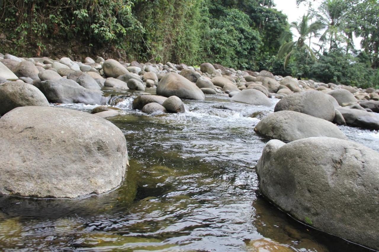 Horquetas River Lodge Sarapiqui Ngoại thất bức ảnh