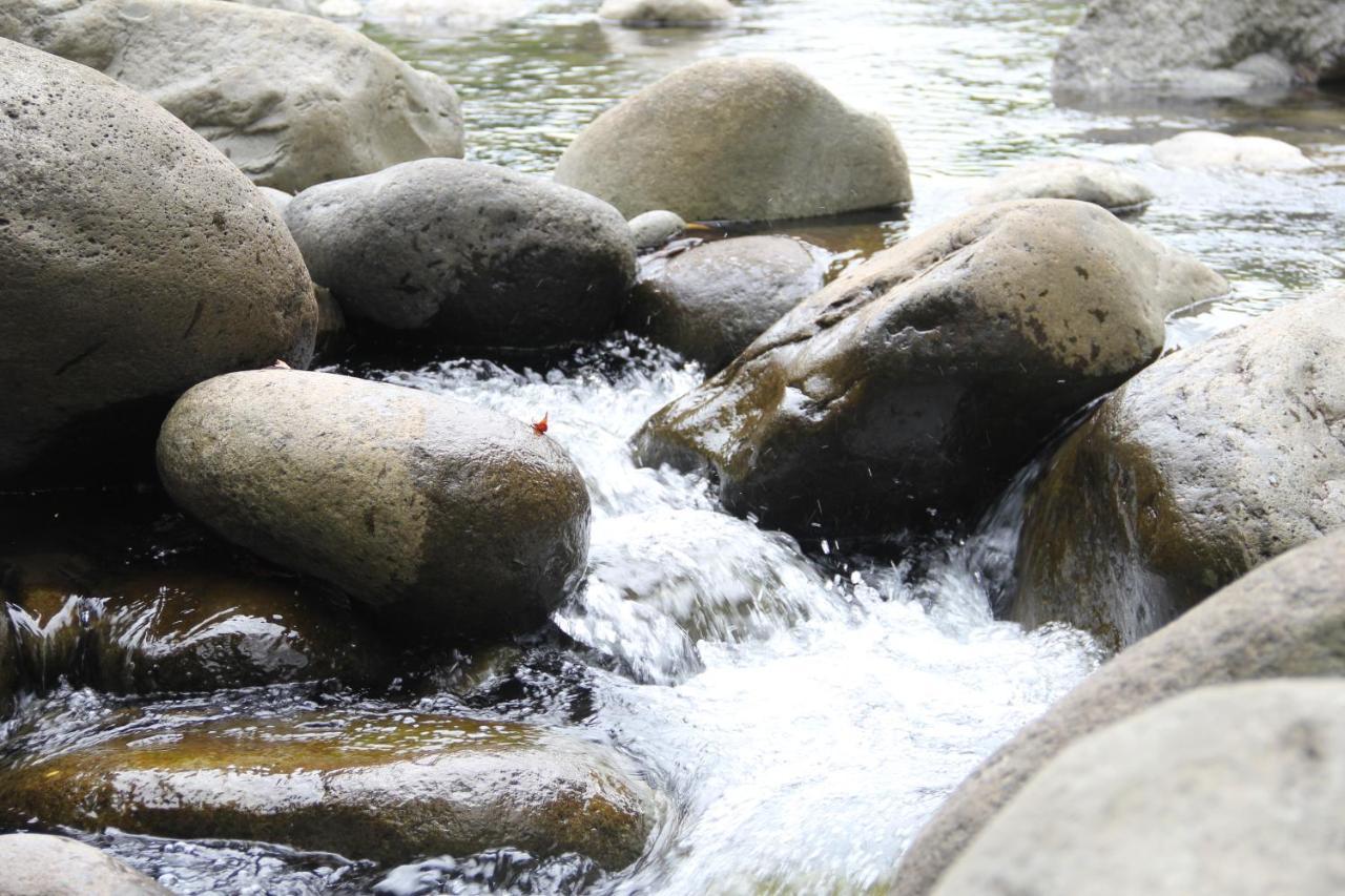 Horquetas River Lodge Sarapiqui Ngoại thất bức ảnh